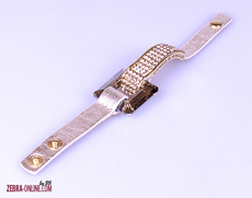 Гривна, KР 301 ZL